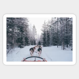 Winter Sleigh Ride Sticker